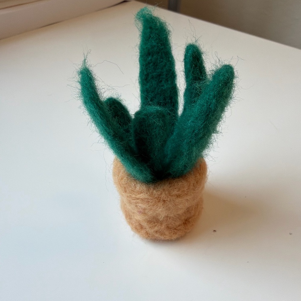 Handcrafted Felt Succulent Decor